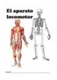 /album/fotogaleria-locomotor/images-1-jpg2/